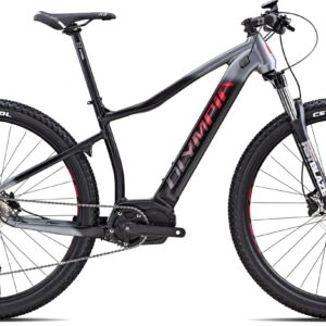 Cicli Renzi